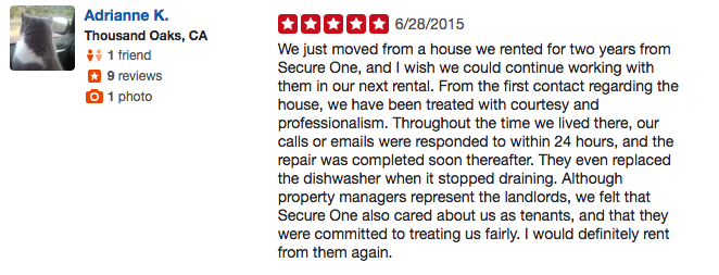Yelp Review 8
