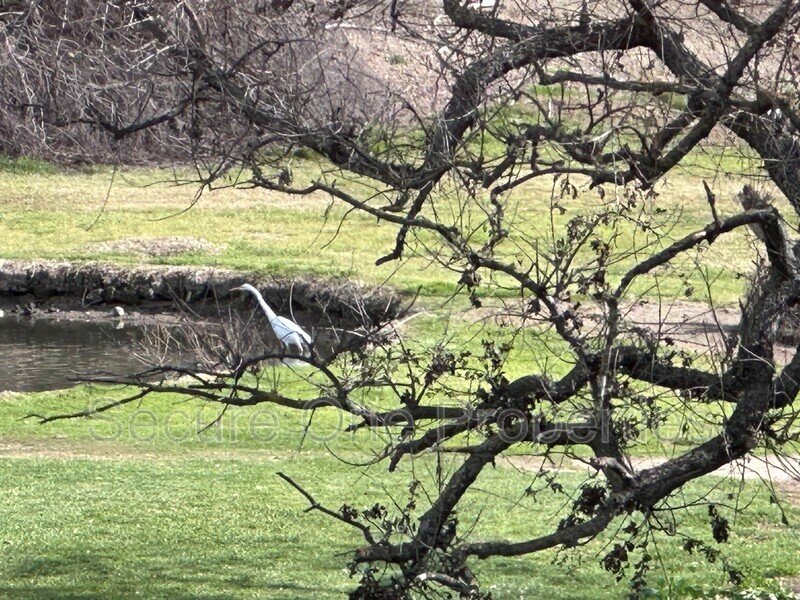 Westlake Village Home with 4 bedrooms and Stunning views! property image